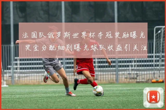 法国队俄罗斯世界杯夺冠奖励曝光 奖金分配细则曝光球队收益引关注