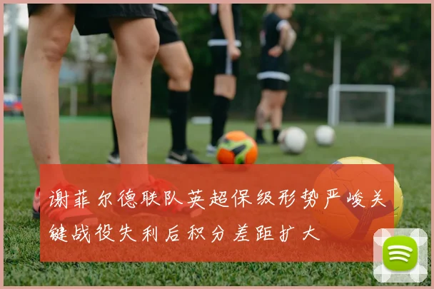 谢菲尔德联队英超保级形势严峻关键战役失利后积分差距扩大